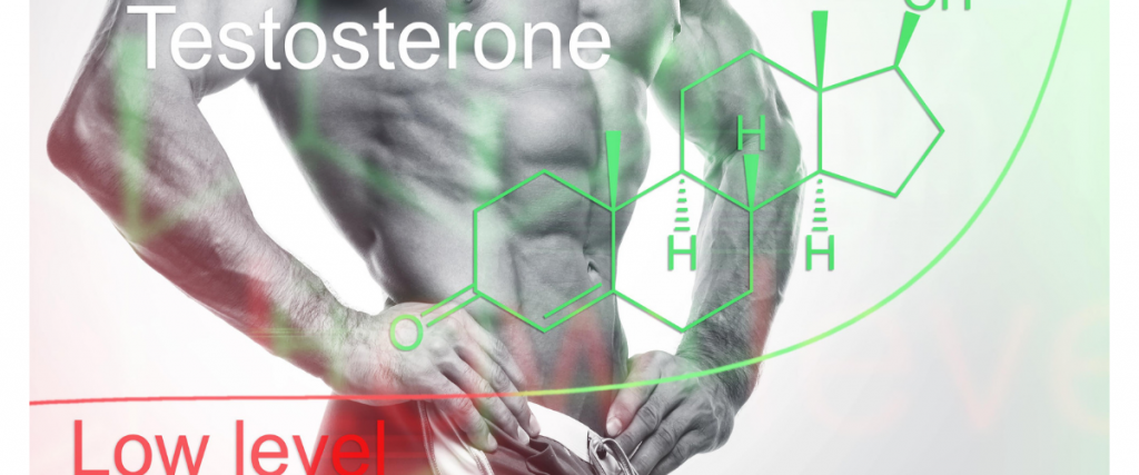 testosterone header